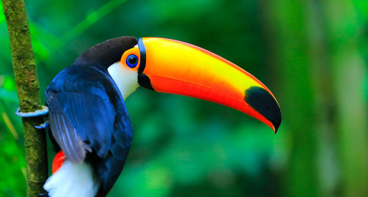 Iquitos - PERU.